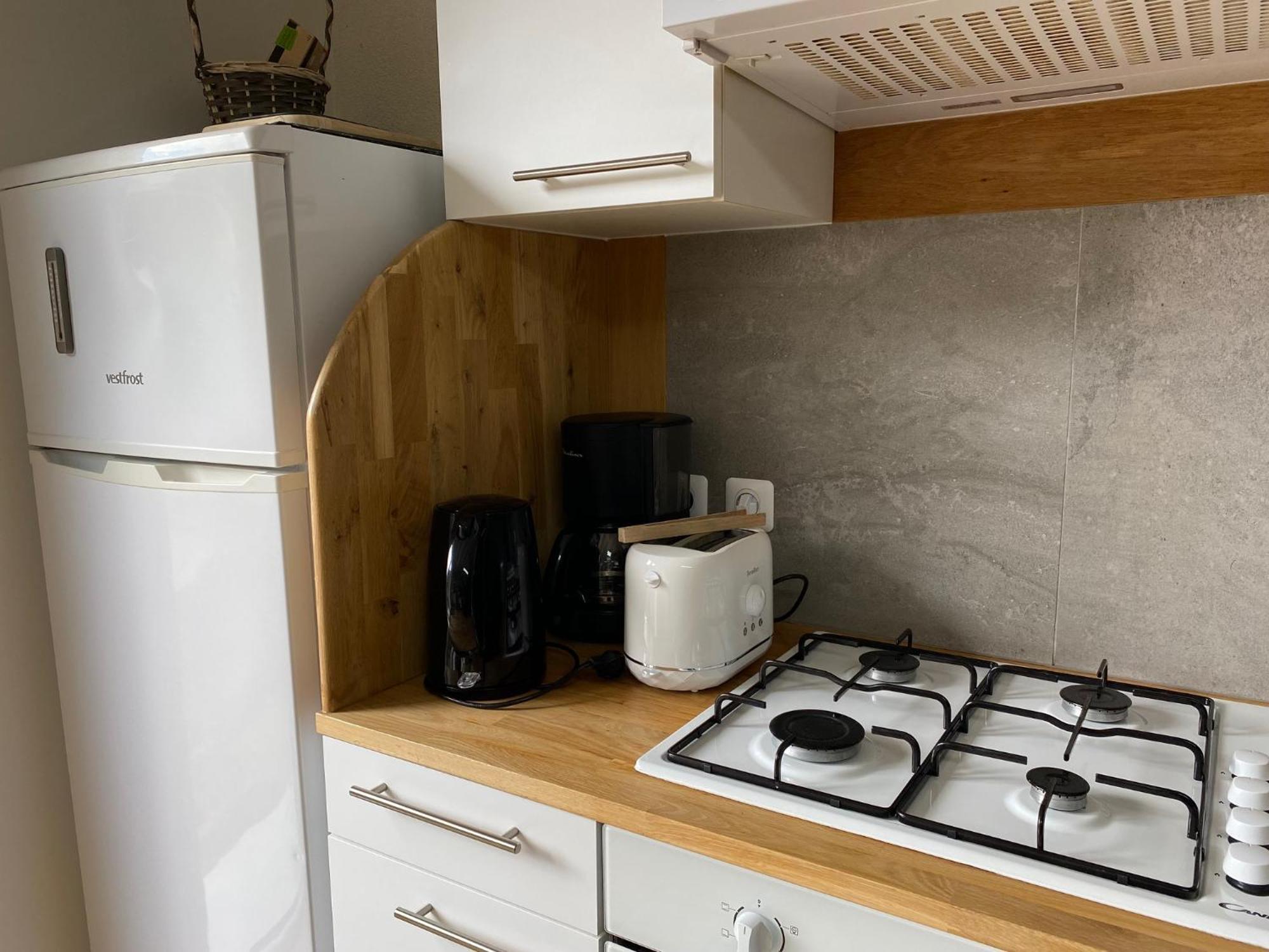 Gite De La Maison De Triboulet- Amboise Pocé-sur-Cisse Exteriör bild